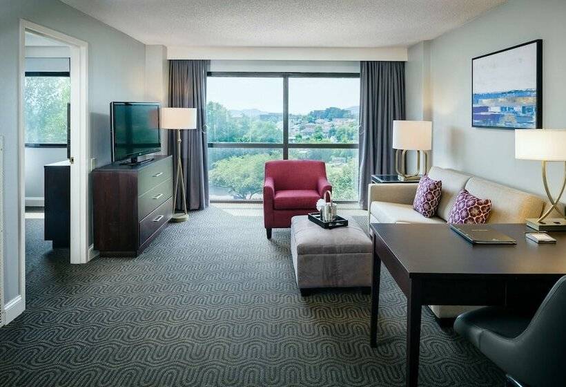 장애인을 위한 더블 침대 스탠다드 룸, Hilton Brentwood/nashville Suites