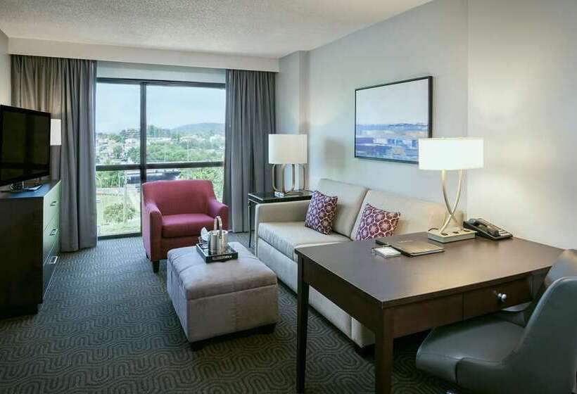 스위트, Hilton Brentwood/nashville Suites
