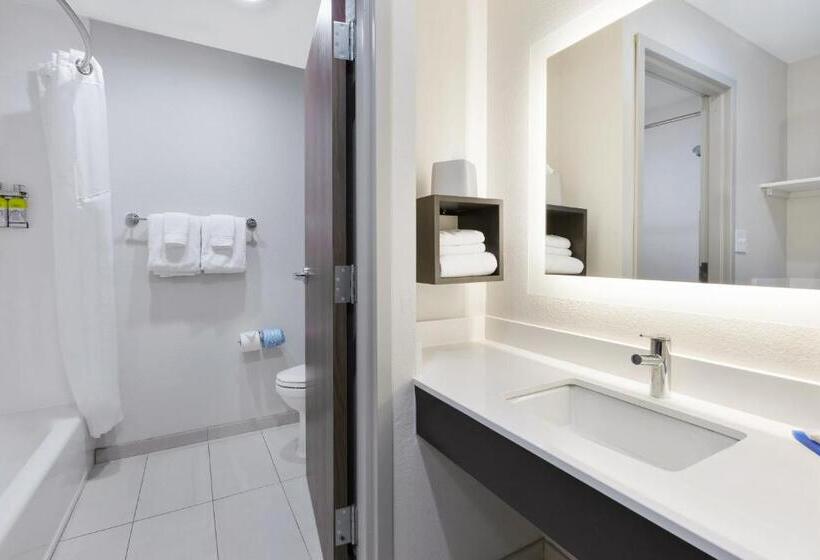 Номер Стандарт Кровать Кинг Адаптированный для Инвалидов, Holiday Inn Express Detroit Warren/general Motors Technology Center, An Ihg