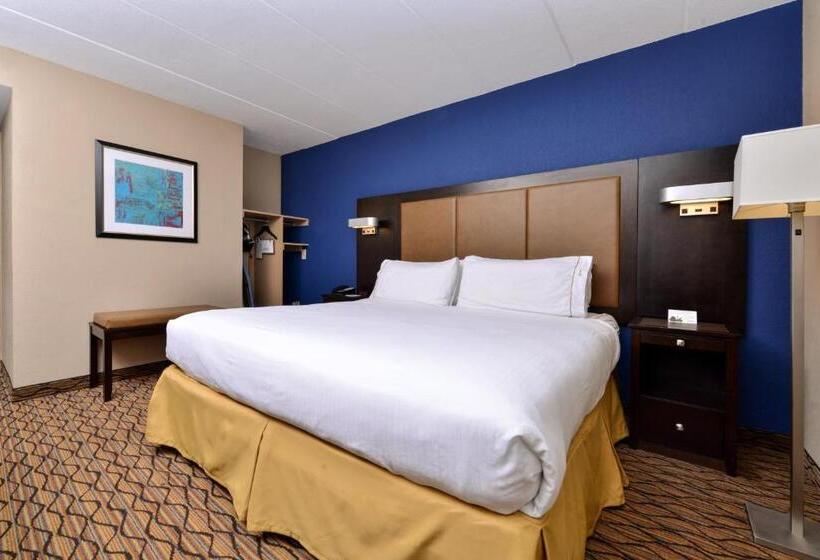 스탠다드 룸 킹사이즈 침대, Holiday Inn Express Hunt Valley, An Ihg