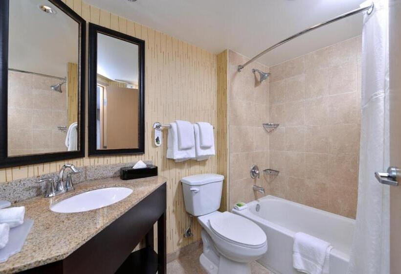 스탠다드 룸 더블 침대 2개, Holiday Inn Express Hunt Valley, An Ihg