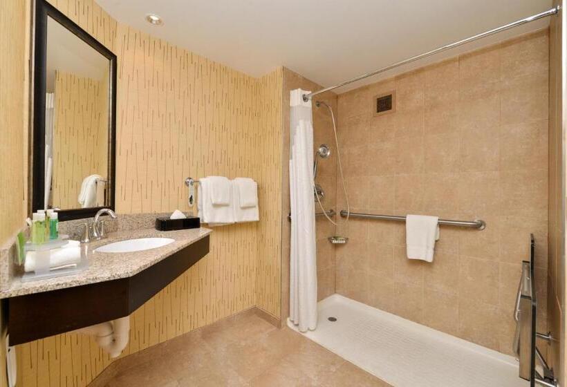 장애인을 위한 킹사이즈 침대 스탠다드 룸, Holiday Inn Express Hunt Valley, An Ihg