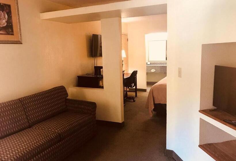 Люкс Кровать Кинг, Quality Inn & Suites Conference Center Statesboro Historic District