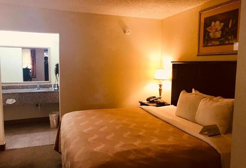 Люкс Кровать Кинг, Quality Inn & Suites Conference Center Statesboro Historic District