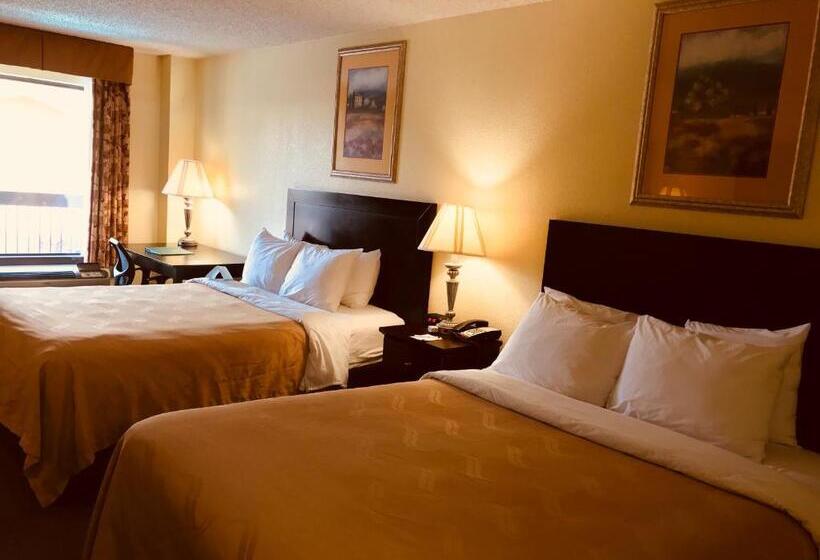 Номер Стандарт, Quality Inn & Suites Conference Center Statesboro Historic District