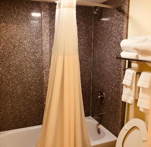 Стандартный Номер Кровать Кинг, Quality Inn & Suites Conference Center Statesboro Historic District