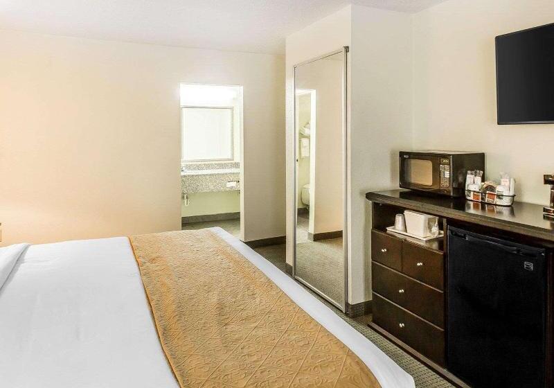 Стандартный Номер Кровать Кинг, Quality Inn & Suites Conference Center Statesboro Historic District