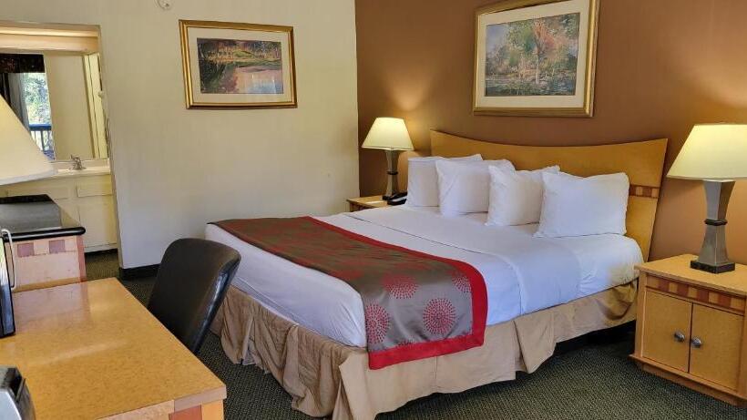 חדר סטנדרט עם מיטת קינג, Ramada By Wyndham & Suites Warner Robins