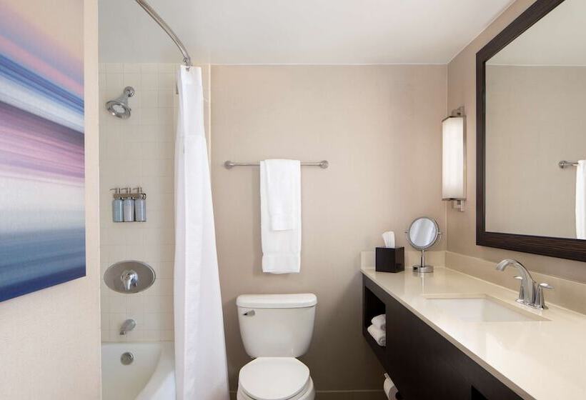 Quarto Executivo, Sonesta San Jose  Milpitas