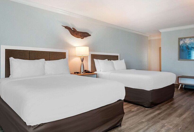 Номер Стандарт 2 Двуспальные Кровати, Winter The Dolphin S Beach Club, Ascend Hotel Collection