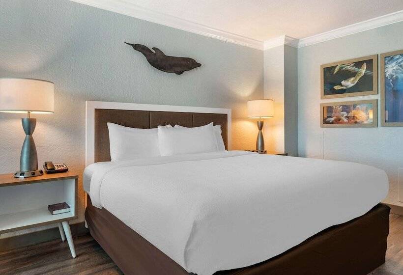 Номер Стандарт Двуспальная Кровать Вид на Город, Winter The Dolphin S Beach Club, Ascend Hotel Collection
