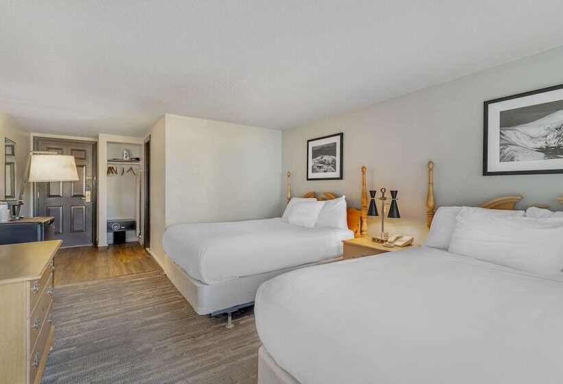 带2个双人床的标准工作室, Green Granite Inn, Ascend Hotel Collection