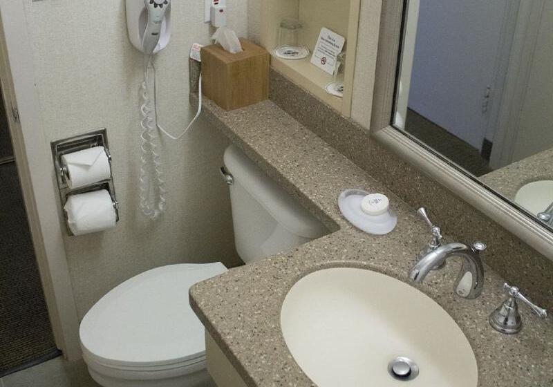高级客房, Handlery Hotel San Diego