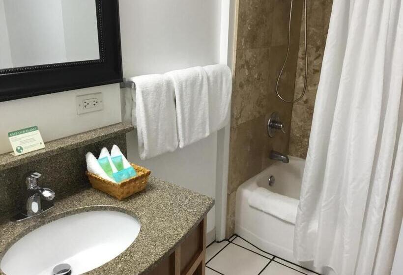 Apartamento Deluxe 1 Dormitório, Holiday Surf