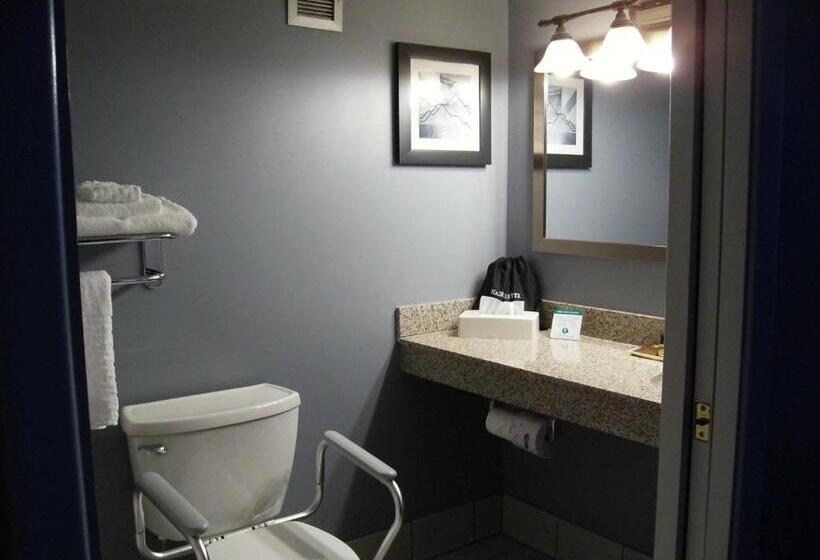 Номер Стандарт Кровать Кинг Адаптированный для Инвалидов, Best Western Plus Bradford Inn