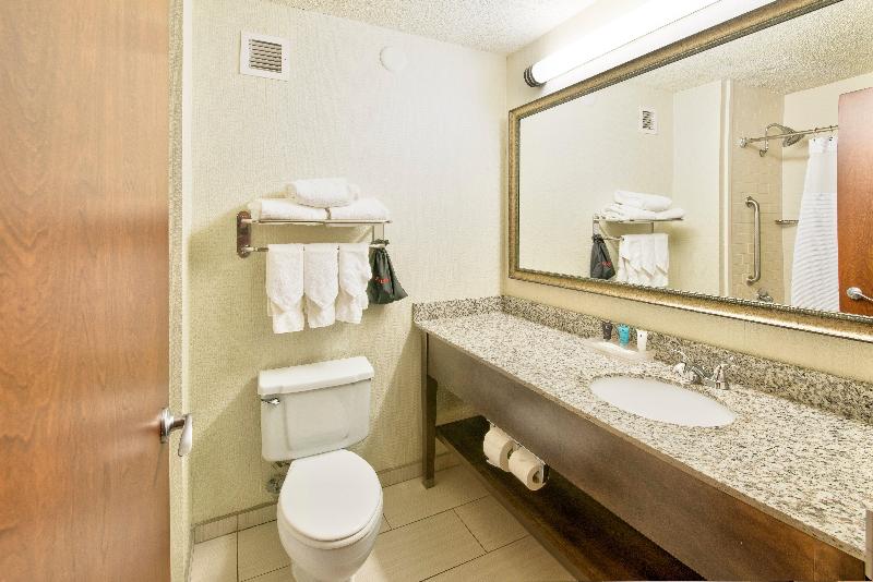 Standaardkamer met Kingsize Bed, Crowne Plaza Indianapolis Dwtn Union Stn, An Ihg