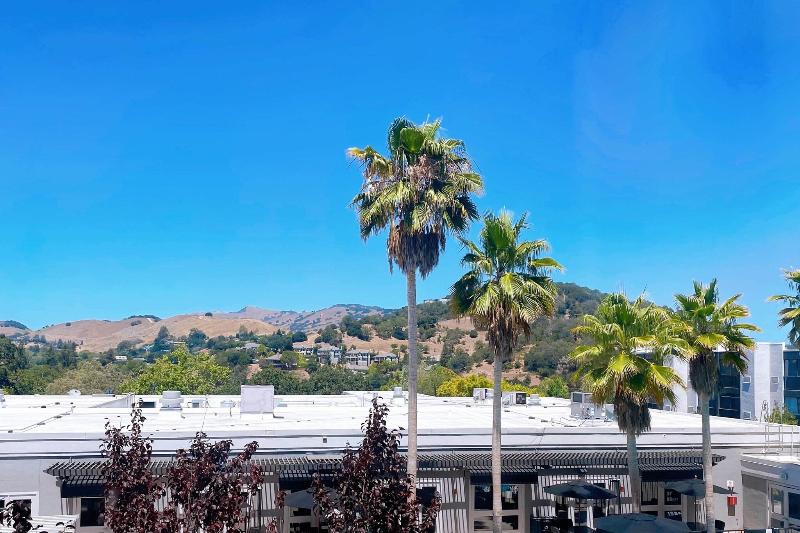豪华房间, Four Points By Sheraton San Rafael Marin County