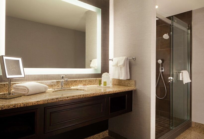 Habitació Deluxe, Hilton Fort Worth
