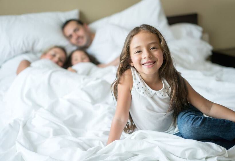 Habitació Deluxe, Hilton Fort Worth
