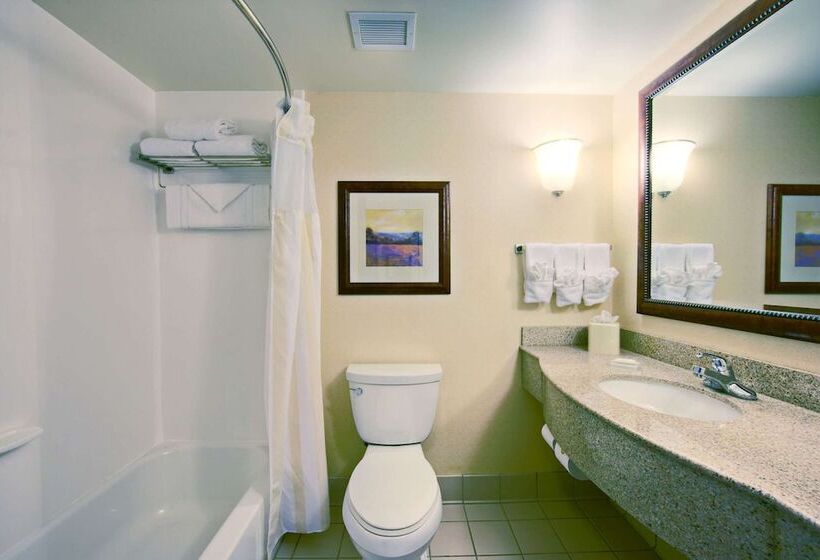 Номер Стандарт, Hilton Garden Inn Springfield, Il