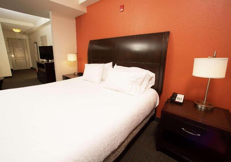 Suite King Size Bed, Hilton Garden Inn Springfield, Il