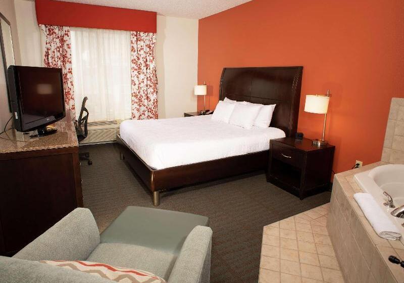 Стандартный Номер Кровать Кинг, Hilton Garden Inn Springfield, Il