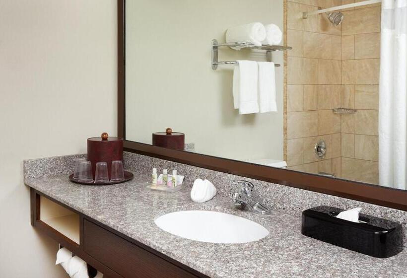 스위트 킹사이즈 침대, Holiday Inn Chicago Matteson Conf Center, An Ihg