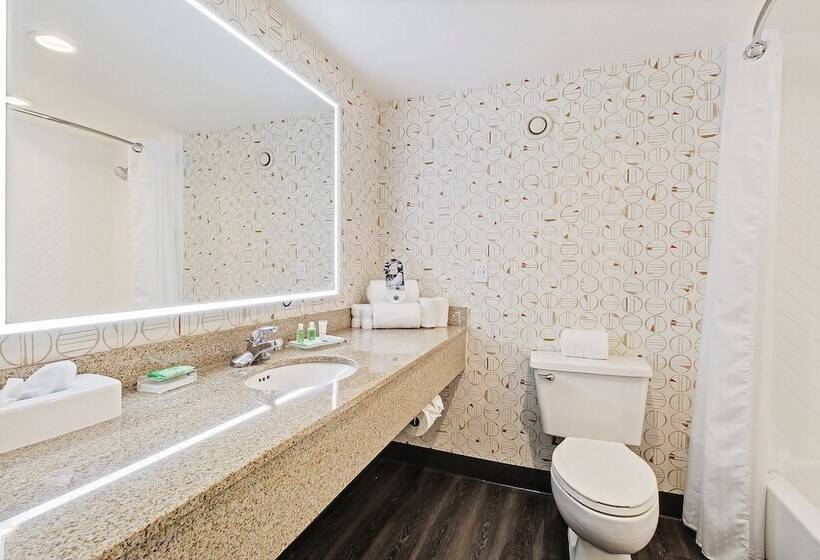 Номер Стандарт 2 Двуспальные Кровати, Holiday Inn Chicago Nw Crystal Lk Conv Ctr, An Ihg
