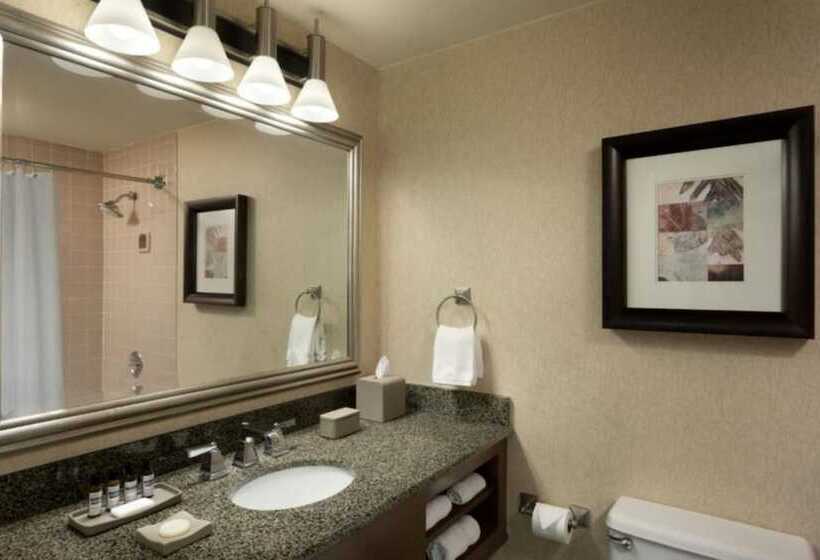 디럭스 룸, Hyatt Regency Houston West