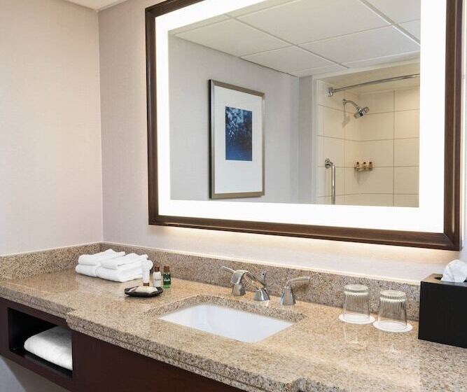 豪华房间, Sheraton Memphis Downtown