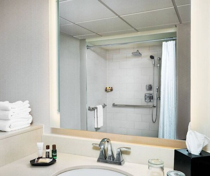 豪华房间, Sheraton Memphis Downtown