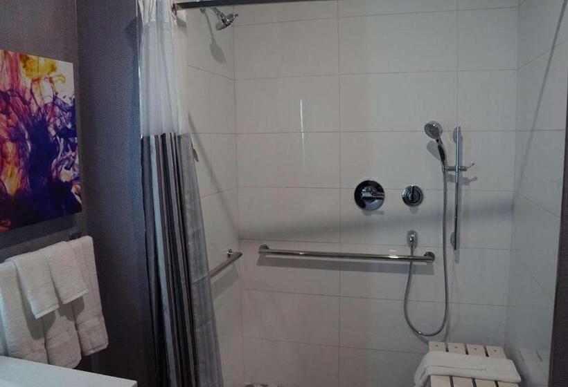 Номер Deluxe Адаптированный для Инвалидов, La Quinta Inn & Suites By Wyndham Lewisville