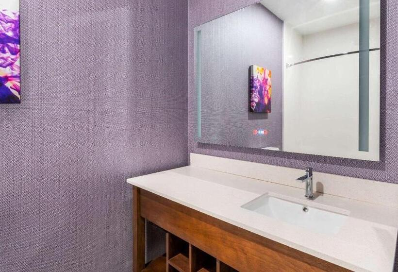 Номер Deluxe Кровать Кинг, La Quinta Inn & Suites By Wyndham Lewisville