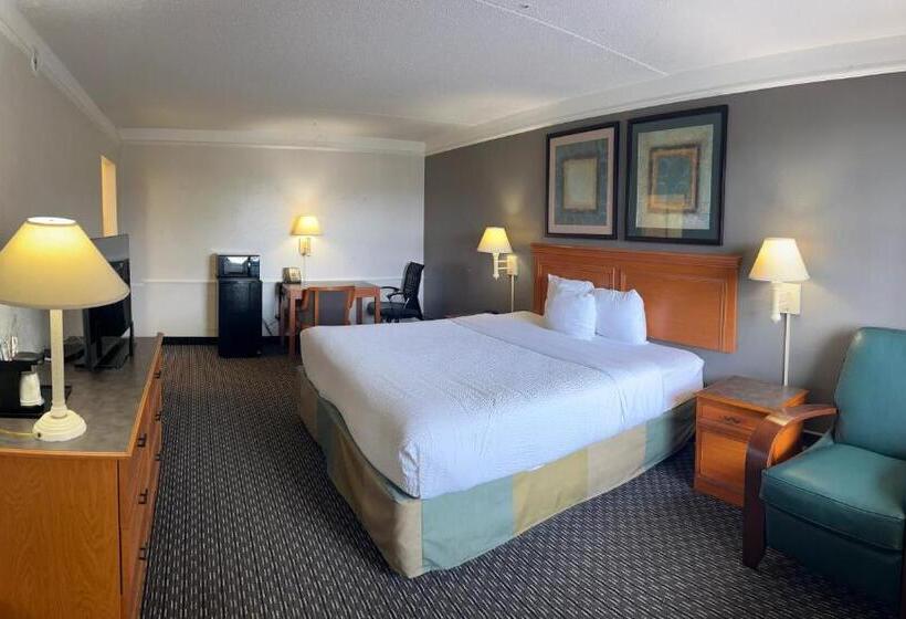 اتاق استاندارد با تخت بزرگ, Rodeway Inn
