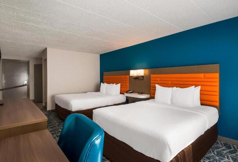 اتاق استاندارد, Comfort Inn Falls Church   Tysons Corner