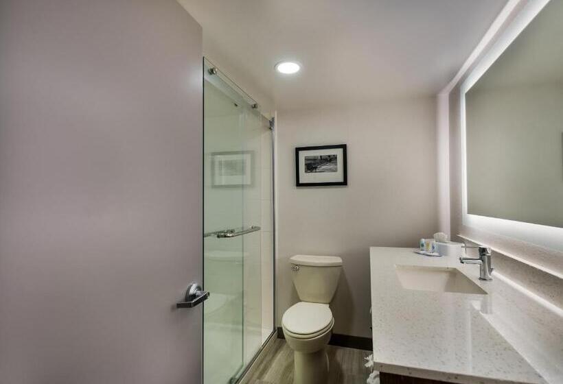 اتاق استاندارد با تخت بزرگ, Comfort Inn Falls Church   Tysons Corner