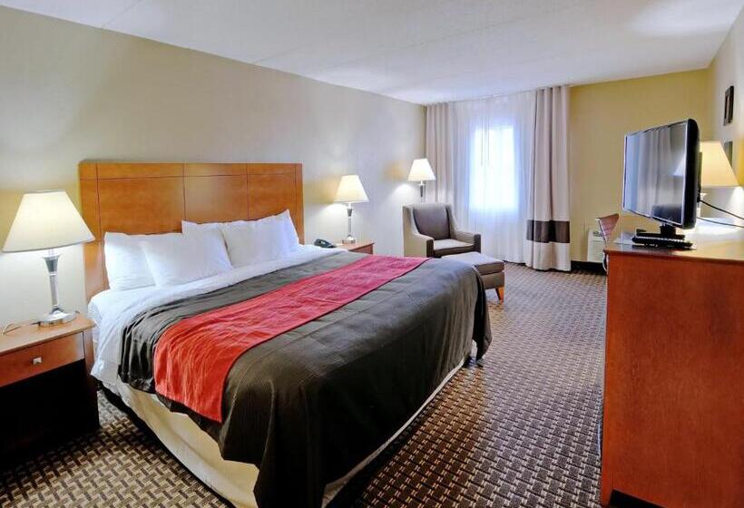 스탠다드 룸 킹사이즈 침대, Comfort Inn & Suites Raphine  Lexington Near I81 And I64