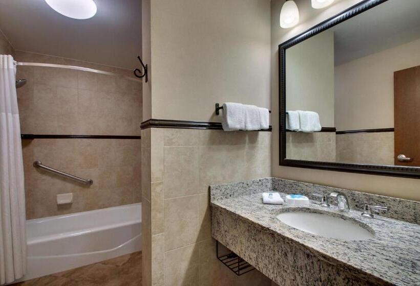 Номер Deluxe Кровать Кинг, Drury Plaza Hotel Broadview Wichita