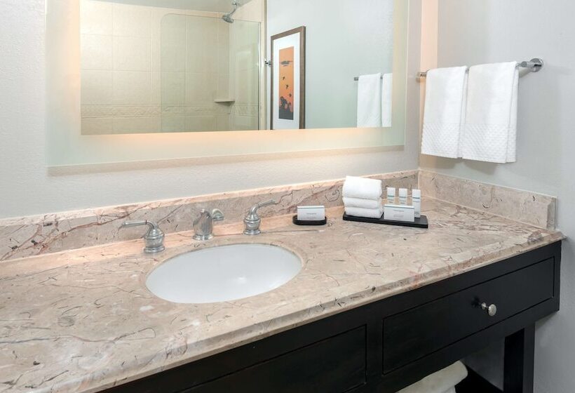 סוויטת פרמיום, Embassy Suites By Hilton Dallas Park Central Area