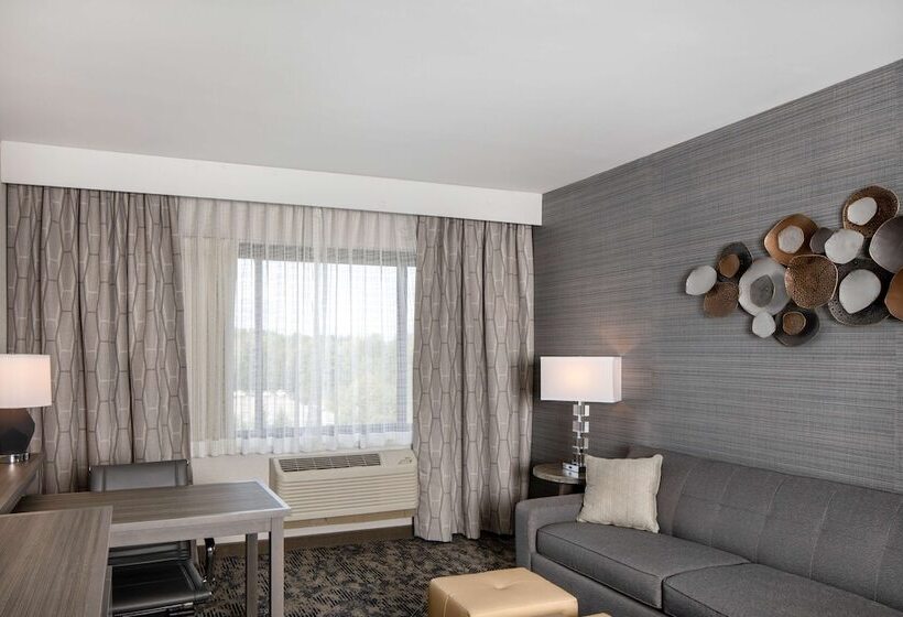 Люкс Адаптированный для Инвалидов, Embassy Suites By Hilton Portland Maine
