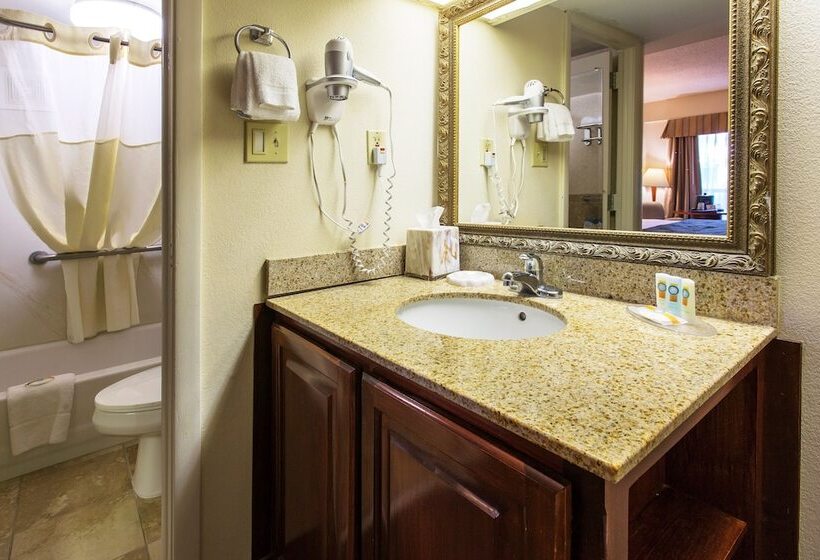 İki Çift Kişilik Yataklı Standart Oda, Quality Inn Savannah Historic District