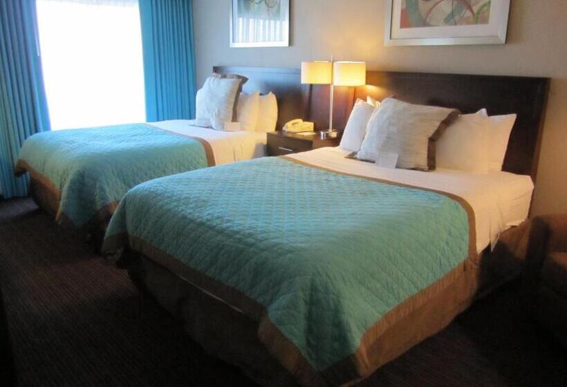 スタンダードルーム, Wyndham Garden Midland