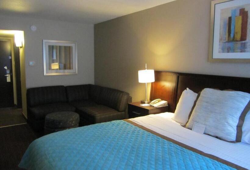 身障者適用キングサイズベッドルーム, Wyndham Garden Midland