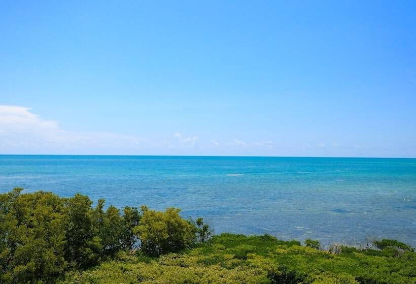 바다 전망 스위트, Ocean Pointe Suites At Key Largo