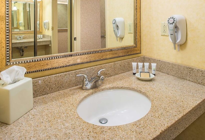 Полулюкс, Red Lion Hotel Pasco Airport & Conference Center