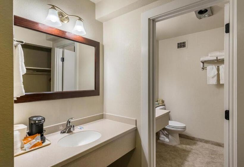 스탠다드 룸, Rodeway Inn & Suites Portland   Jantzen Beach