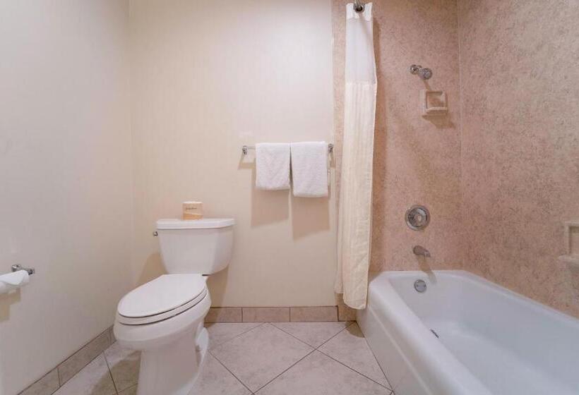 Номер Стандарт 2 Двуспальные Кровати, Royal Plaza Inn