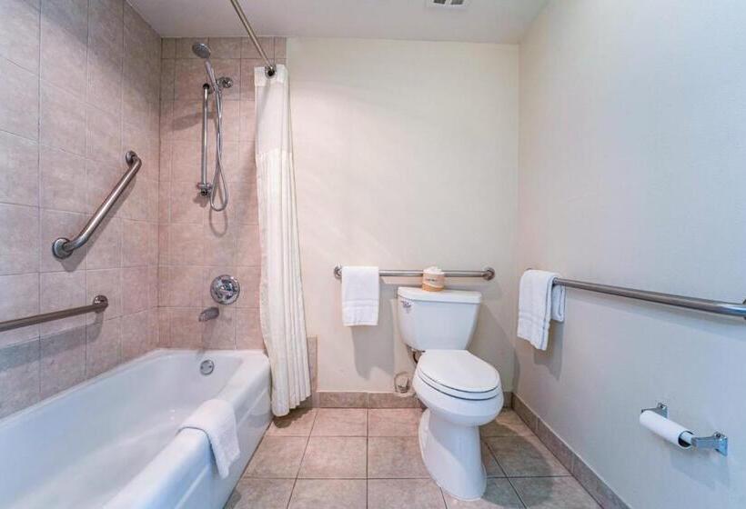 Quarto Estandar Cama King para Deficientes Físicos, Royal Plaza Inn