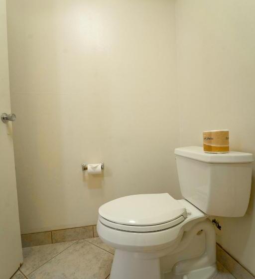 Стандартный Номер Кровать Кинг, Royal Plaza Inn