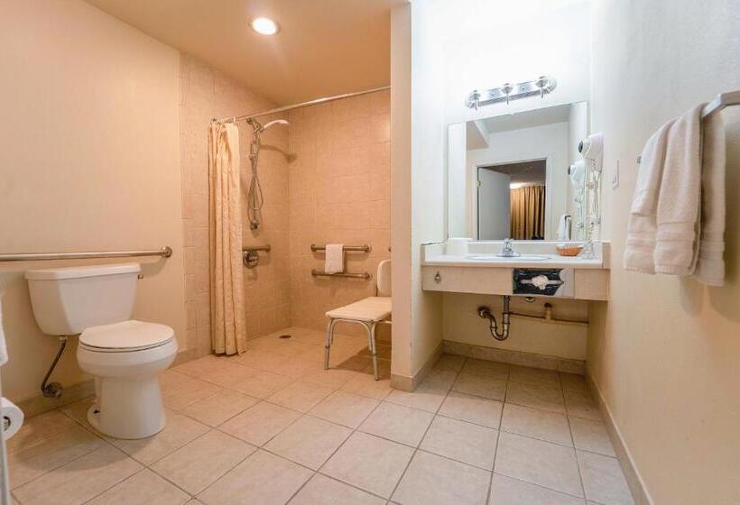 Quarto Estandar Cama Queen, Royal Plaza Inn